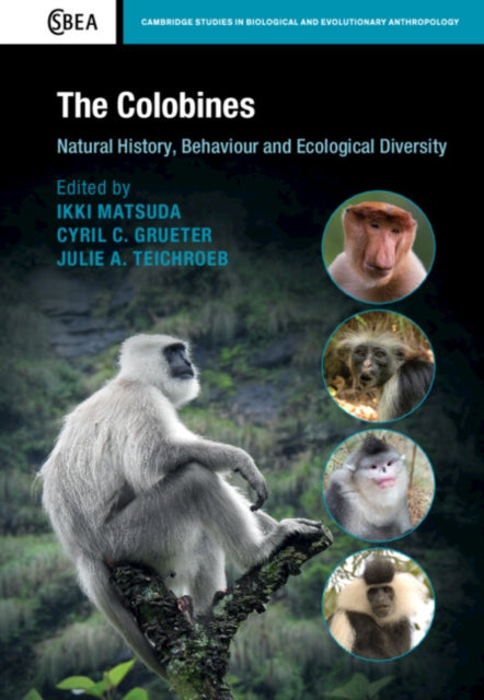 Cambridge Studies in Biological and Evolutionary Anthropology