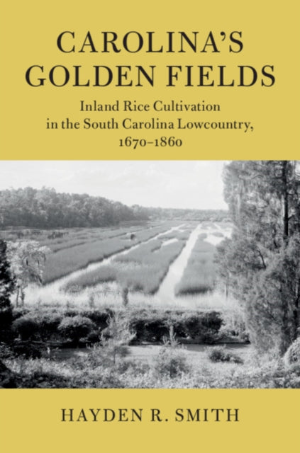Cambridge Studies on the American South