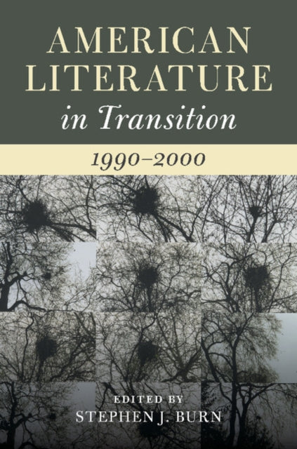 American Literature in Transition