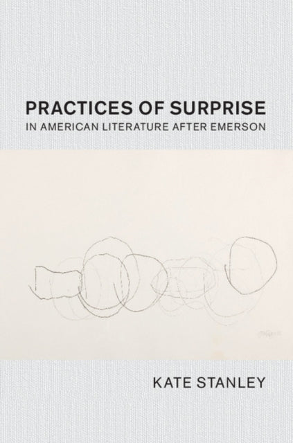 Cambridge Studies in American Literature and Culture