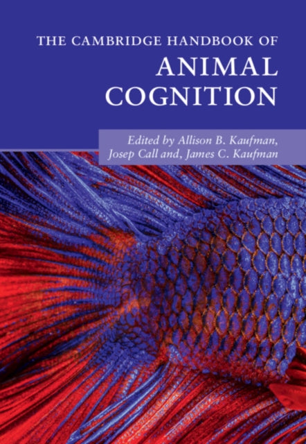 Cambridge Handbooks in Psychology