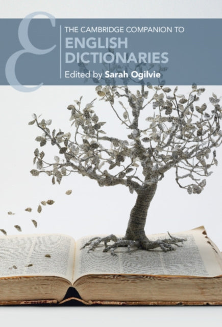 Cambridge Companions to Literature