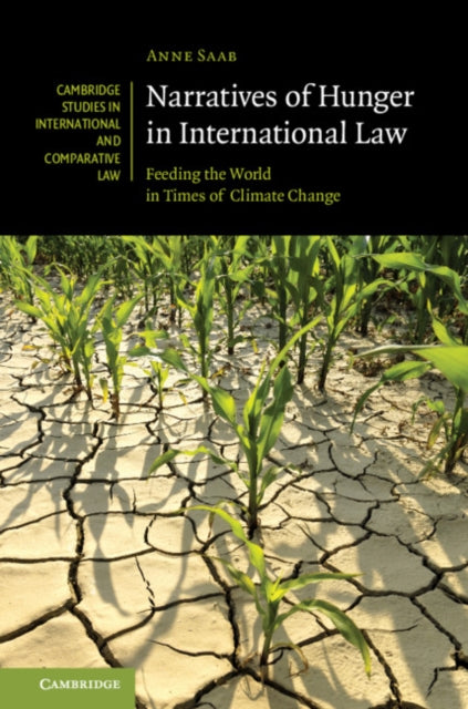 Cambridge Studies in International and Comparative Law