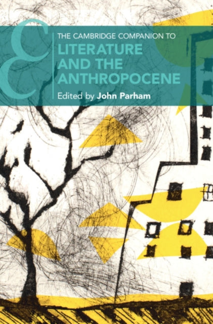 Cambridge Companions to Literature