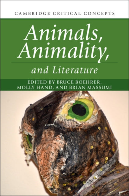 Cambridge Critical Concepts