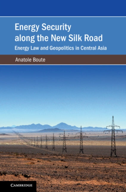 Cambridge Studies on Environment, Energy and Natural Resources Governance