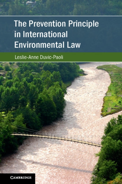 Cambridge Studies on Environment, Energy and Natural Resources Governance