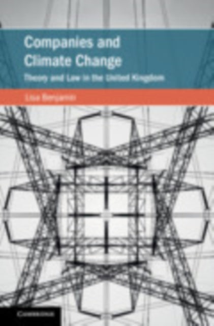 Cambridge Studies on Environment, Energy and Natural Resources Governance