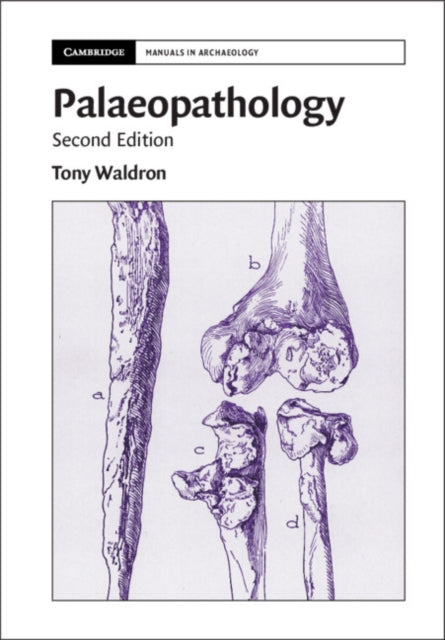 Cambridge Manuals in Archaeology