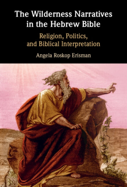 Wilderness Narratives in the Hebrew Bible