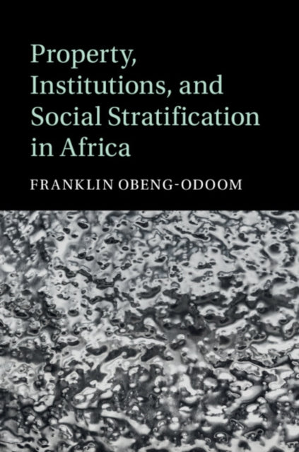 Cambridge Studies in Stratification Economics: Economics and Social Identity