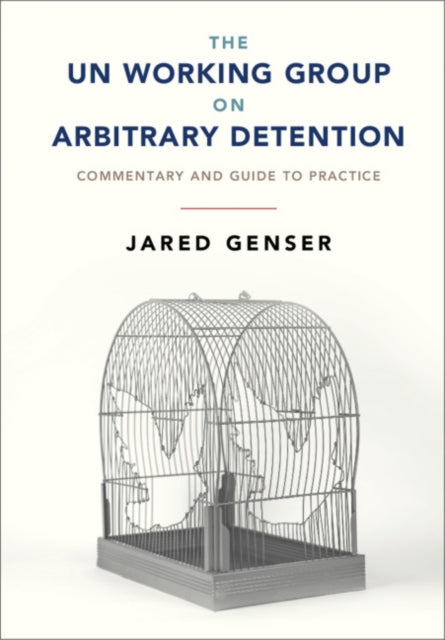 UN Working Group on Arbitrary Detention