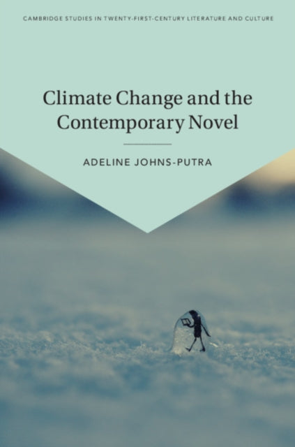 Cambridge Studies in Twenty-First-Century Literature and Culture