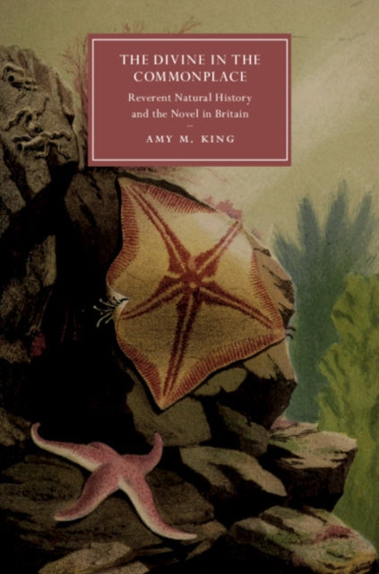 Cambridge Studies in Nineteenth-Century Literature and Culture