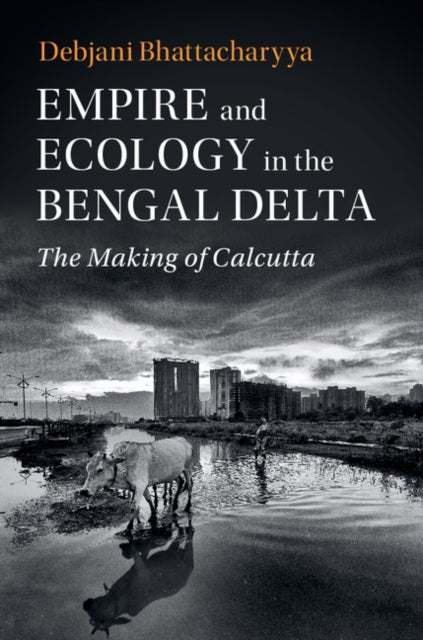 Studies in Environment and History