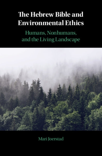 Hebrew Bible and Environmental Ethics