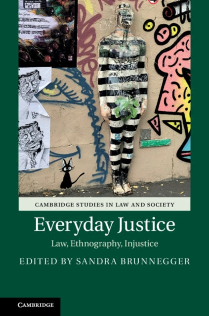 Cambridge Studies in Law and Society