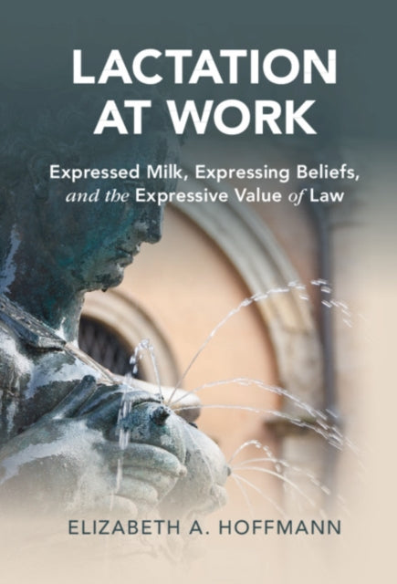 Cambridge Studies in Law and Society