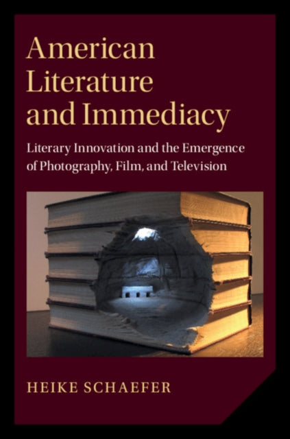 Cambridge Studies in American Literature and Culture