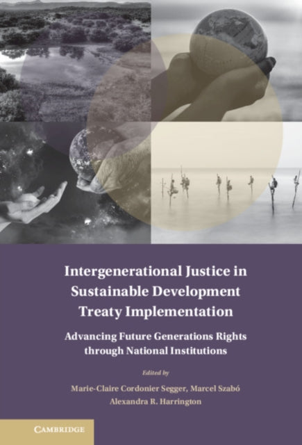 Treaty Implementation for Sustainable Development
