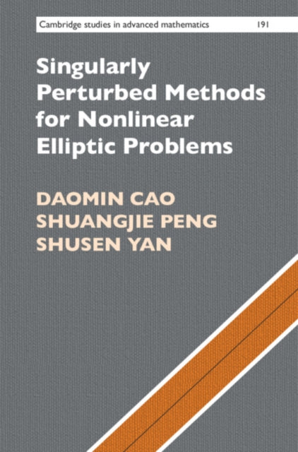 Cambridge Studies in Advanced Mathematics