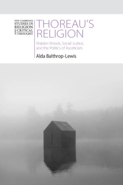 New Cambridge Studies in Religion and Critical Thought