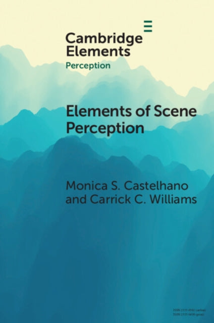 Elements in Perception
