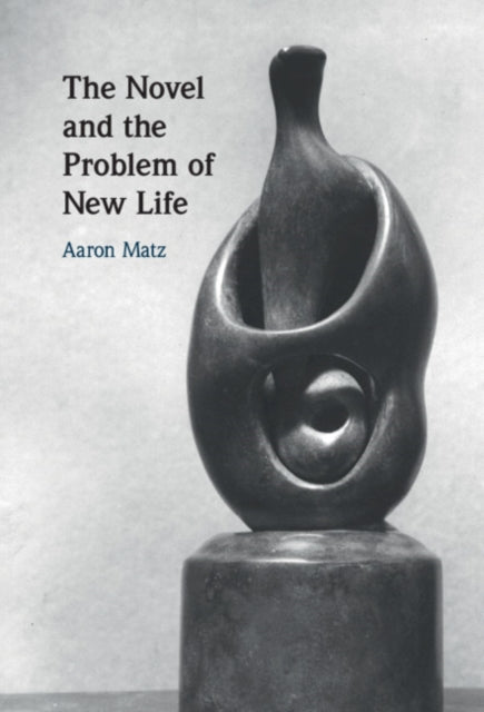 Novel and the Problem of New Life