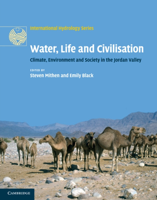 International Hydrology Series