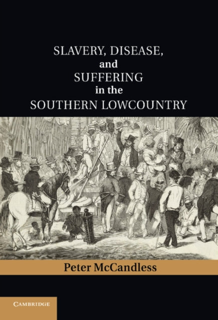Cambridge Studies on the American South