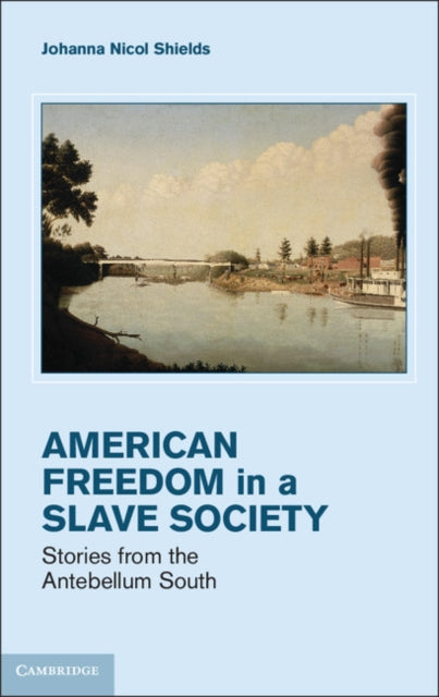 Cambridge Studies on the American South