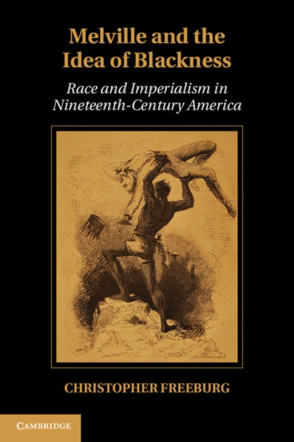 Cambridge Studies in American Literature and Culture