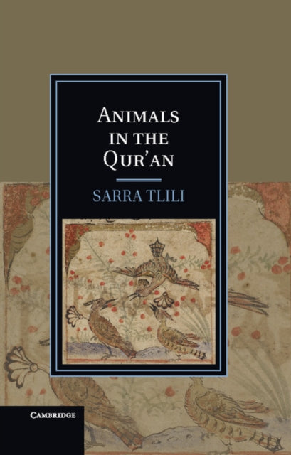 Cambridge Studies in Islamic Civilization