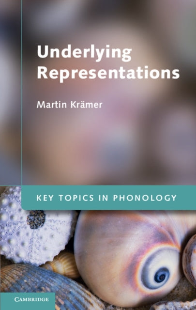 Key Topics in Phonology