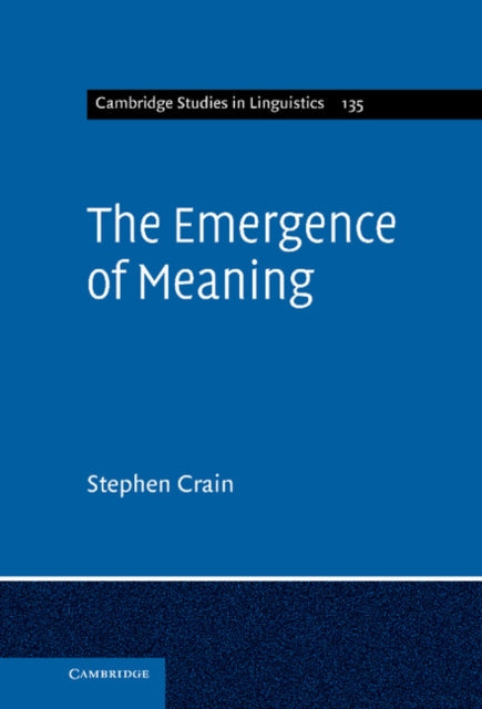 Cambridge Studies in Linguistics