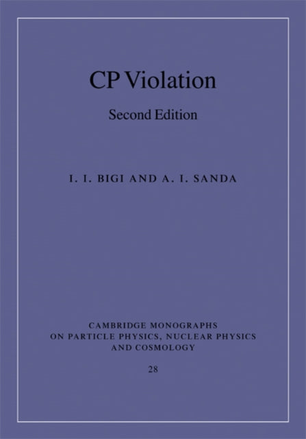 CP Violation