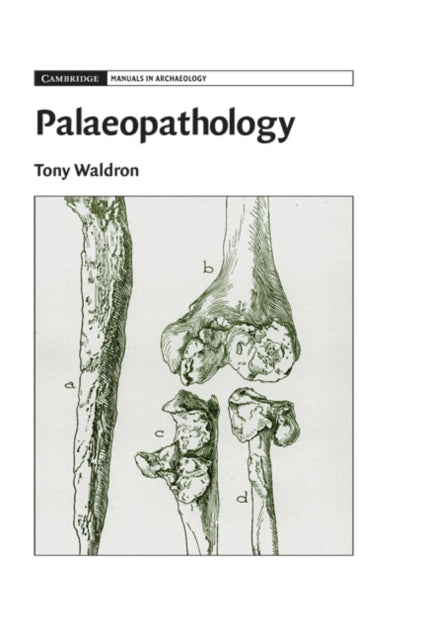 Cambridge Manuals in Archaeology