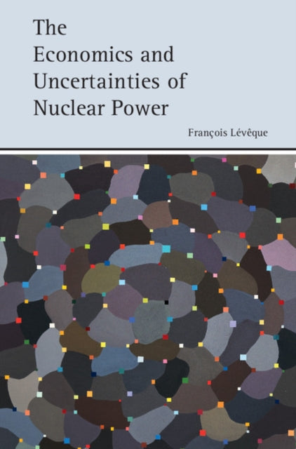 Economics and Uncertainties of Nuclear Power