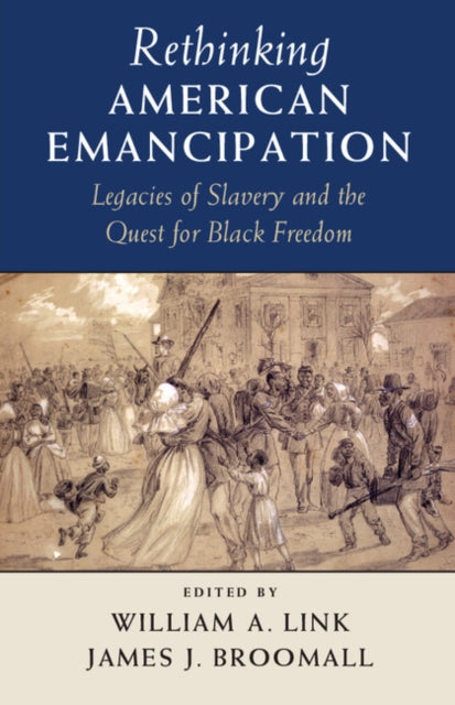 Cambridge Studies on the American South