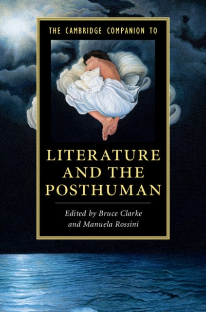 Cambridge Companions to Literature