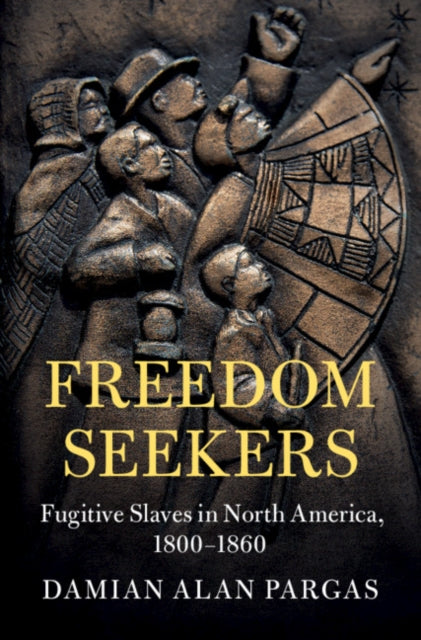 Cambridge Studies on the American South