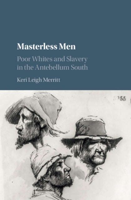 Cambridge Studies on the American South