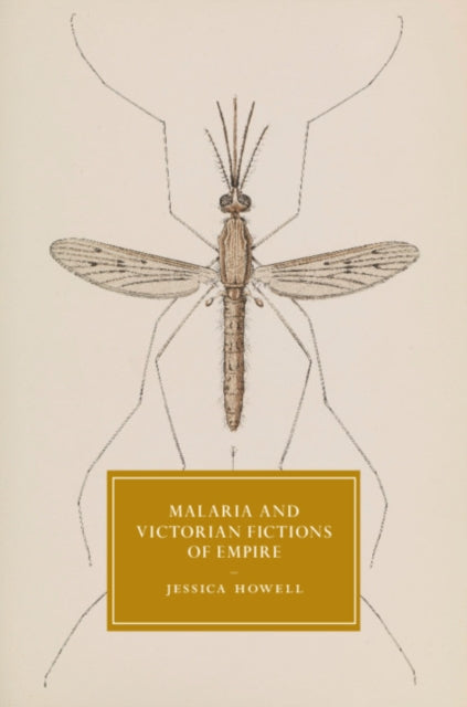 Cambridge Studies in Nineteenth-Century Literature and Culture