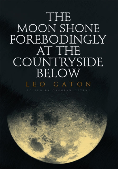 Moon Shone Forebodingly at the Countryside Below
