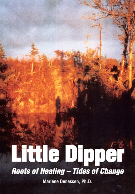 Little Dipper