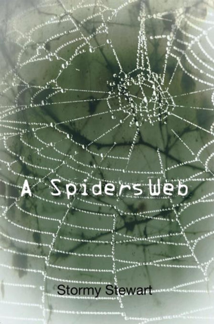 Spiders Web