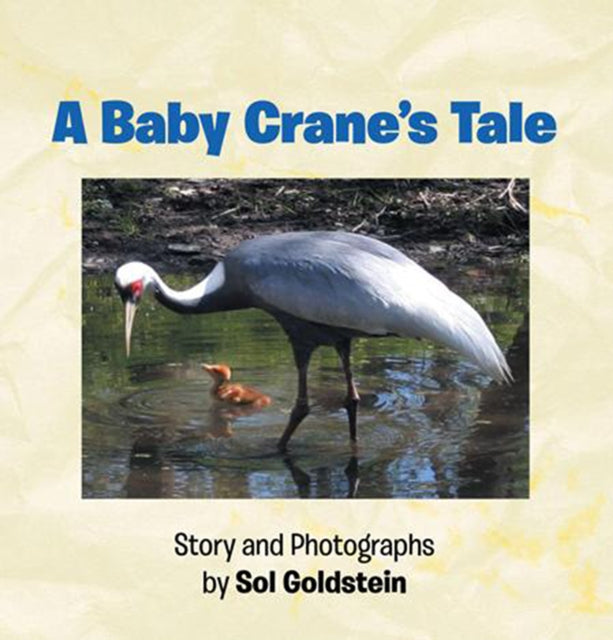 Baby Crane's Tale
