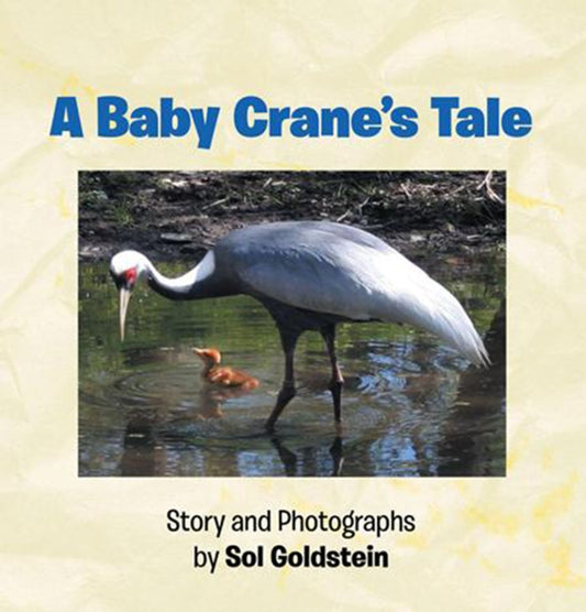 Baby Crane's Tale