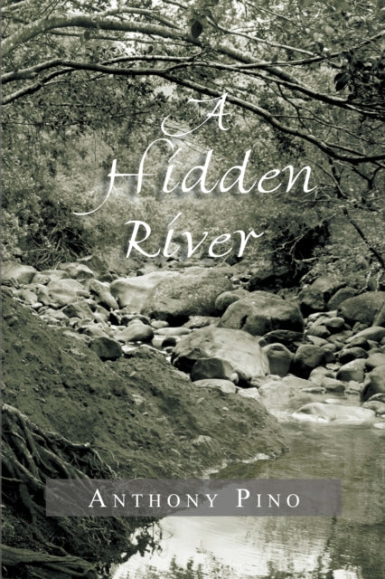 Hidden River