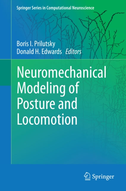 Springer Series in Computational Neuroscience